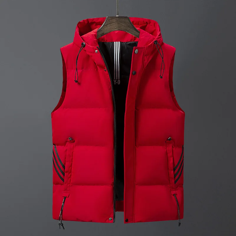 Zeno Vest