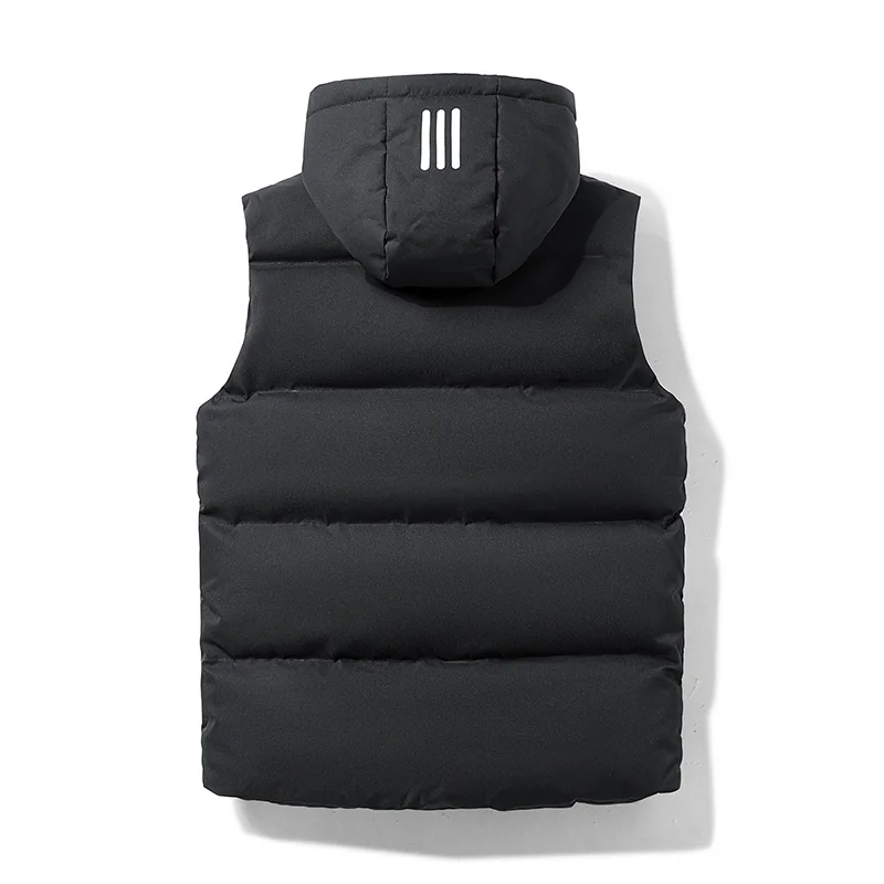Zeno Vest